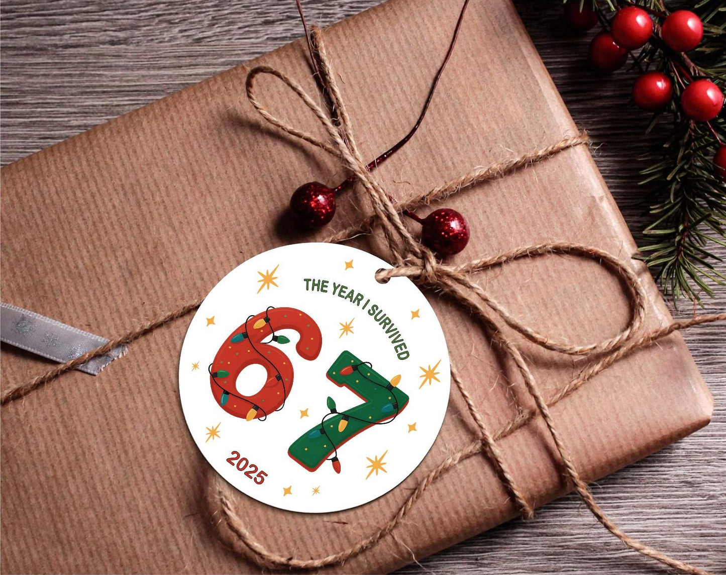 Funny 'The Year I Survived 6 7' Christmas Ornament, Gen Z Humor