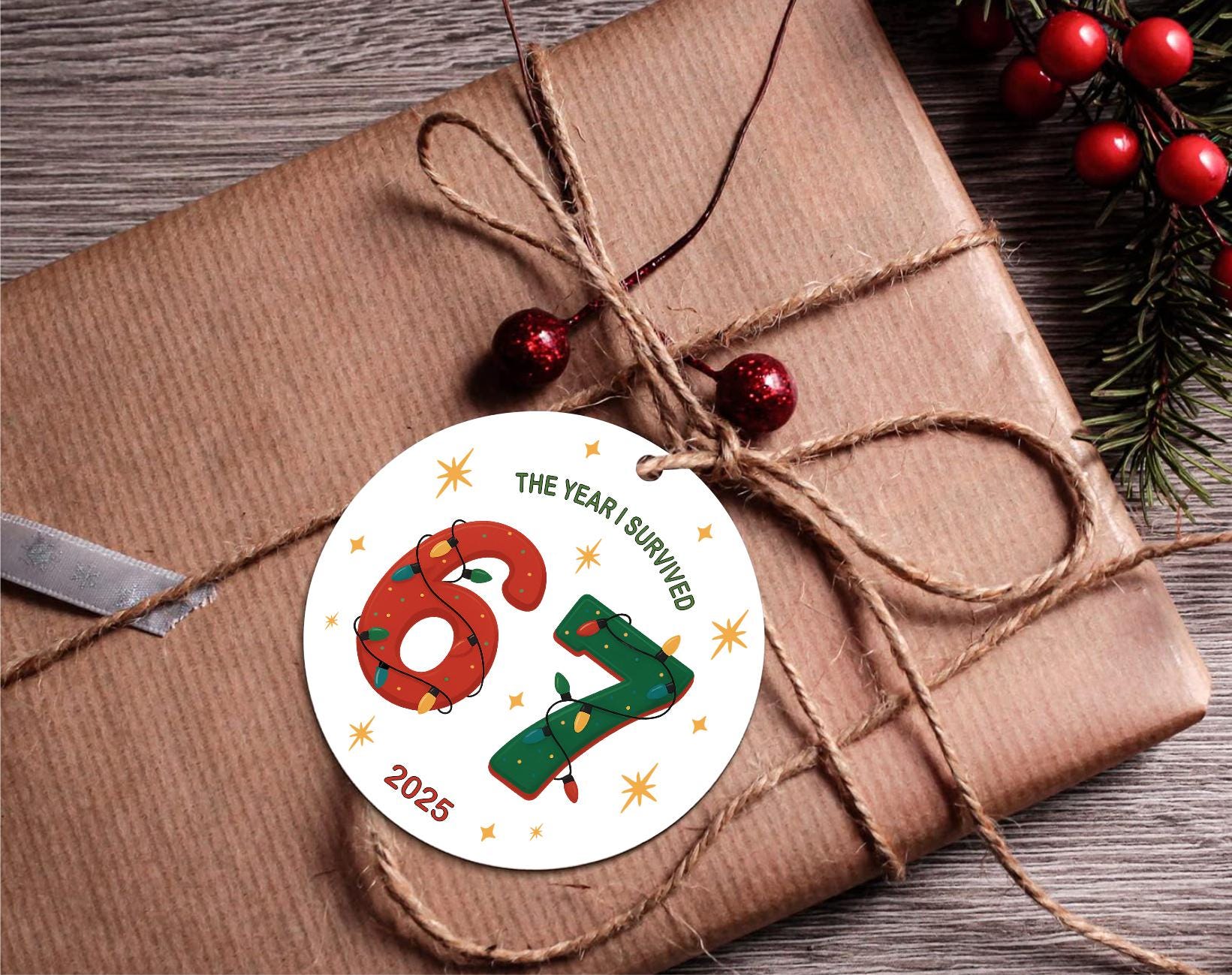 Funny 'The Year I Survived 6 7' Christmas Ornament, Gen Z Humor